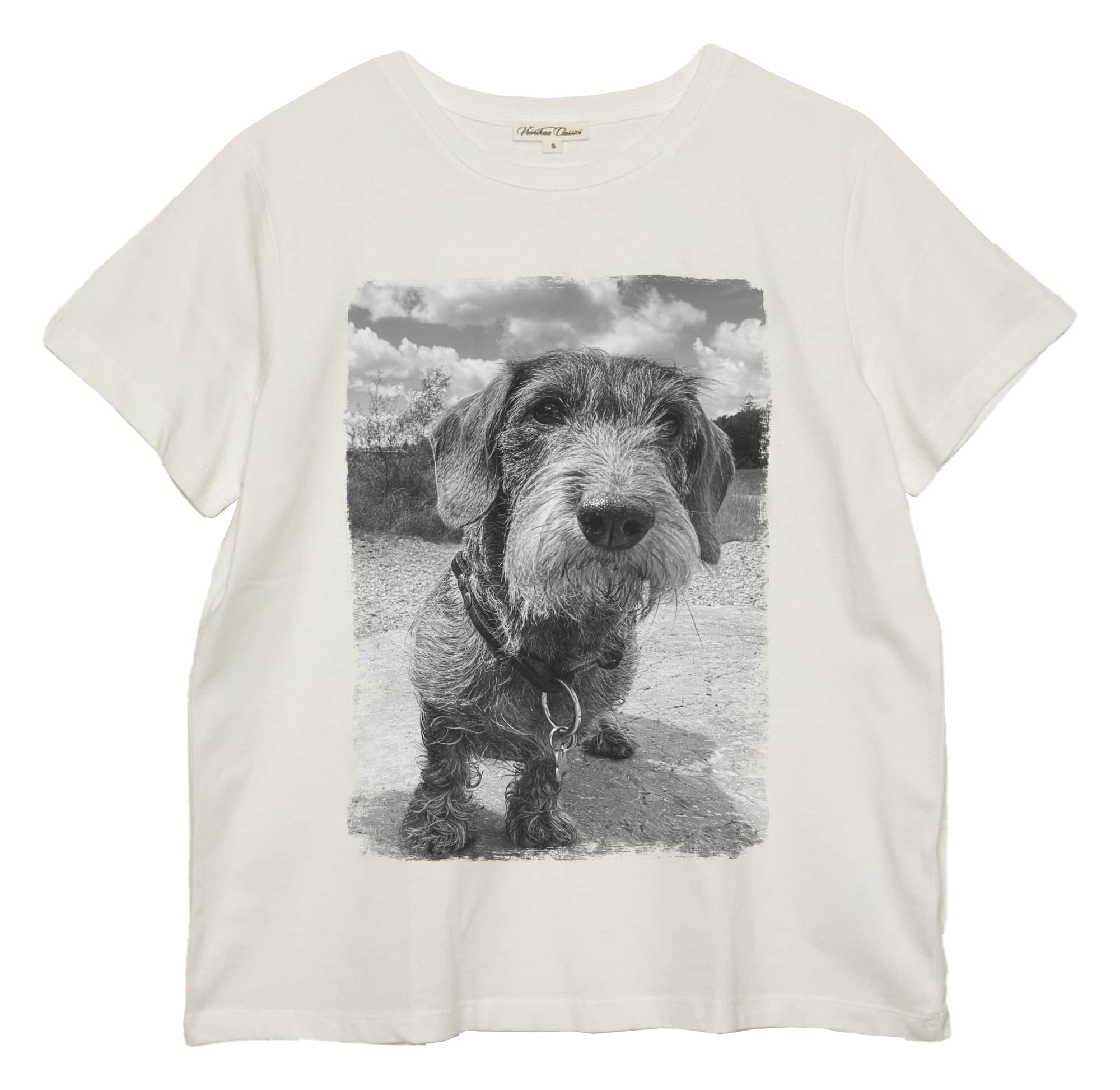 Freisteller von einem Damen T-Shirt mit süßem Dackel Foto