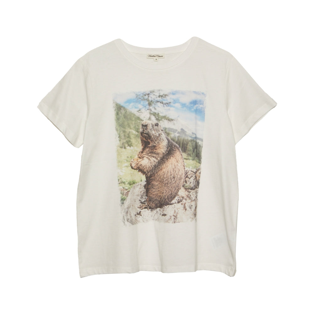 Freisteller von dem Herren Shirt in Offwhite mit einem Foto Aufdruck eines Murmeltiers