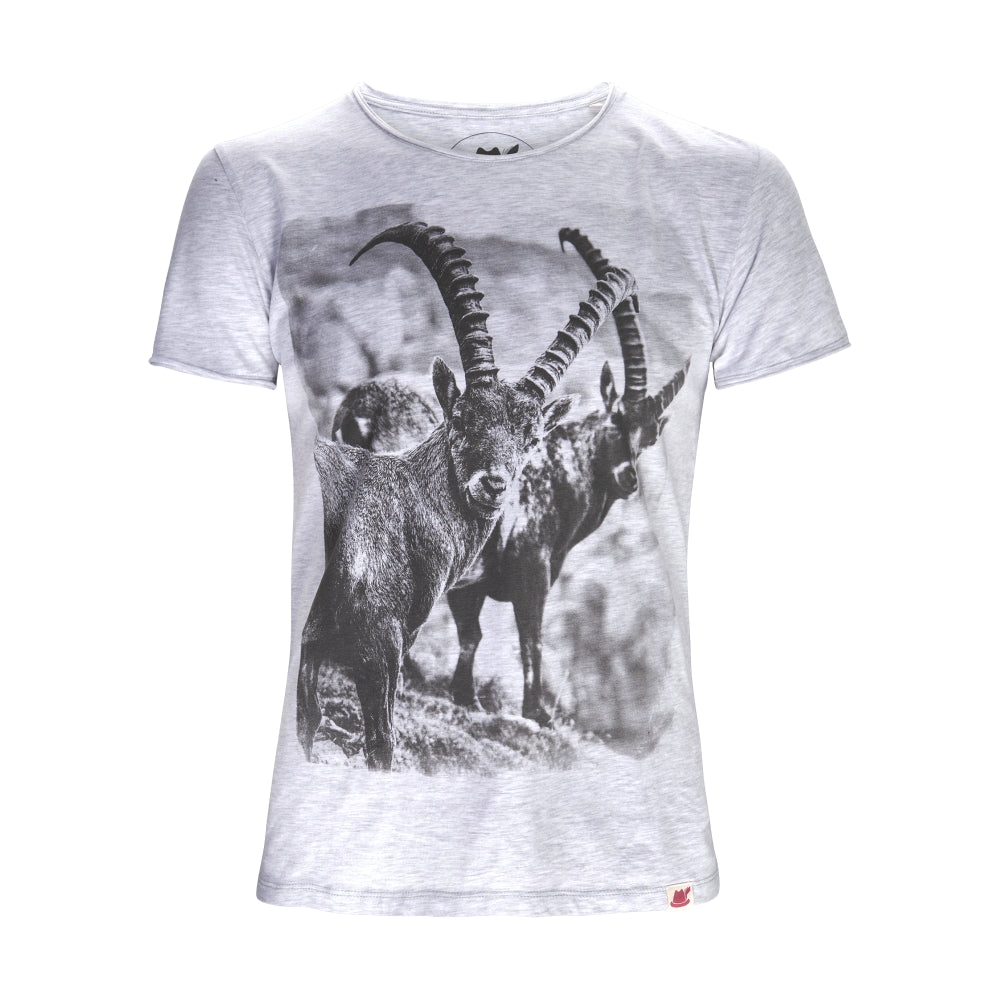 Freisteller von dem Shirt Steinböcke